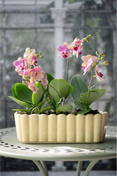 Květináč Edna Oval Light Yellow 30 cm Wikholm Form