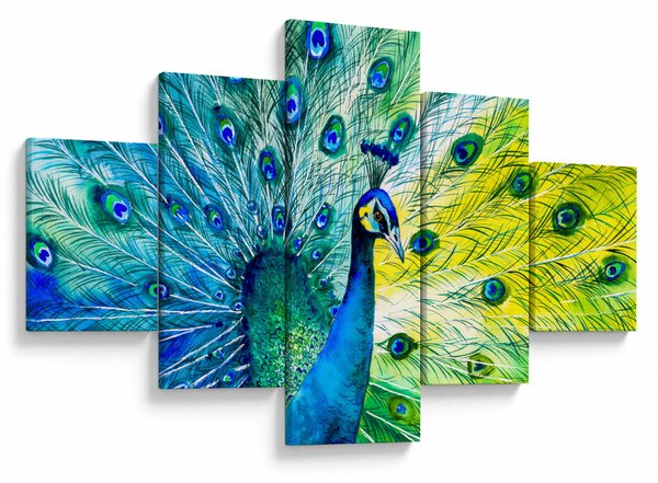 Obraz páva (125x70 cm)