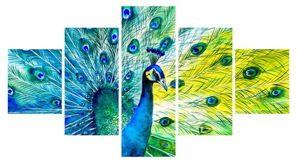 Obraz páva (125x70 cm)