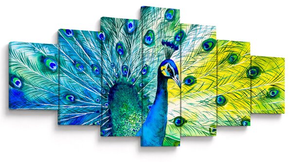 Obraz páva (210x100 cm)