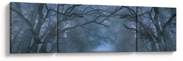 Obraz lesa v mlze (170x50 cm)