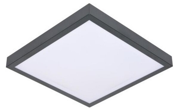 LED Stropní svítidlo se senzorem VITALI LED/24W/230V 4000K