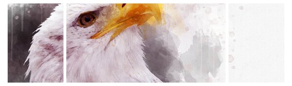 Obraz orla (170x50 cm)