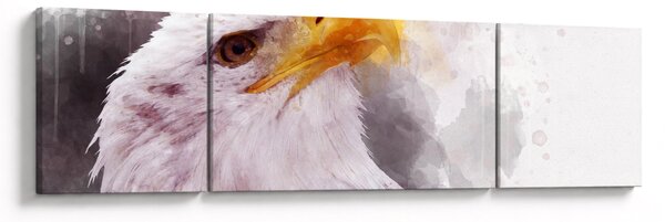 Obraz orla (170x50 cm)