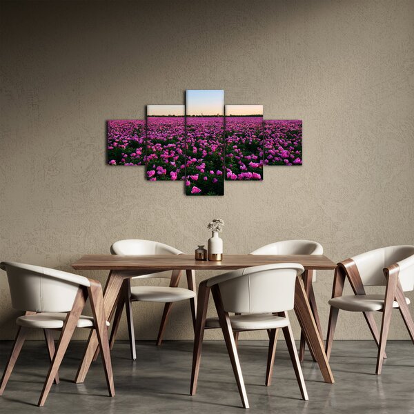 Obraz - Louka fialových tulipánů (125x70 cm)
