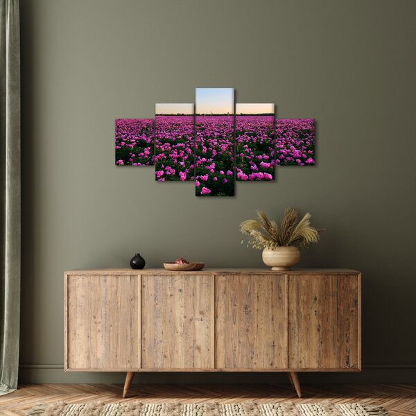 Obraz - Louka fialových tulipánů (125x70 cm)