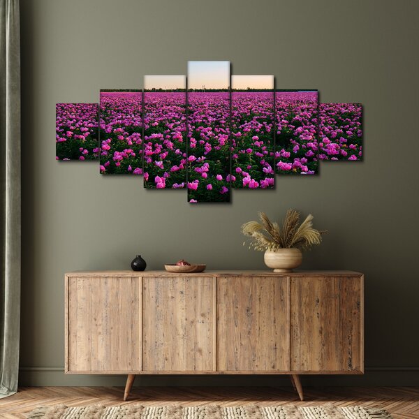 Obraz - Louka fialových tulipánů (210x100 cm)
