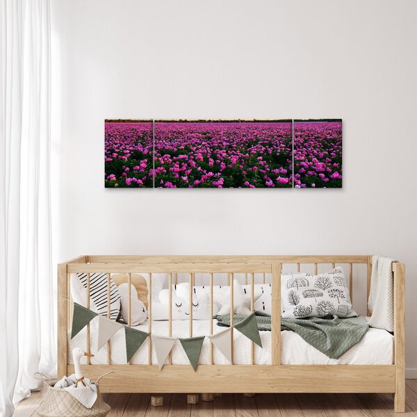 Obraz - Louka fialových tulipánů (170x50 cm)
