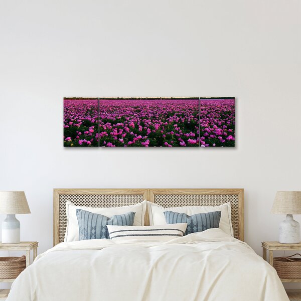 Obraz - Louka fialových tulipánů (170x50 cm)
