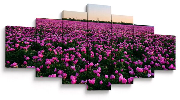 Obraz - Louka fialových tulipánů (210x100 cm)