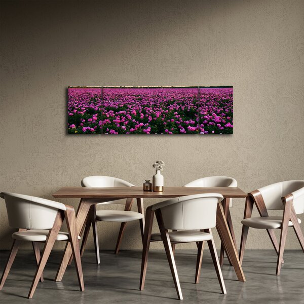 Obraz - Louka fialových tulipánů (170x50 cm)