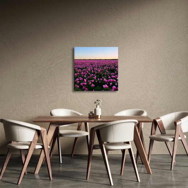 Obraz - Louka fialových tulipánů (30x30 cm)