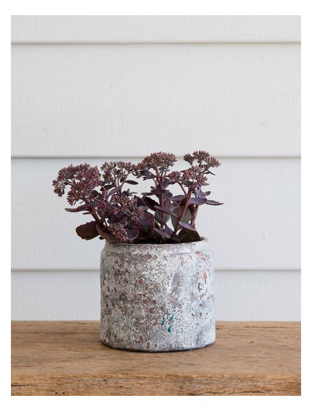 Keramický květináč Withington Rustic Grey 14 cm Garden Trading