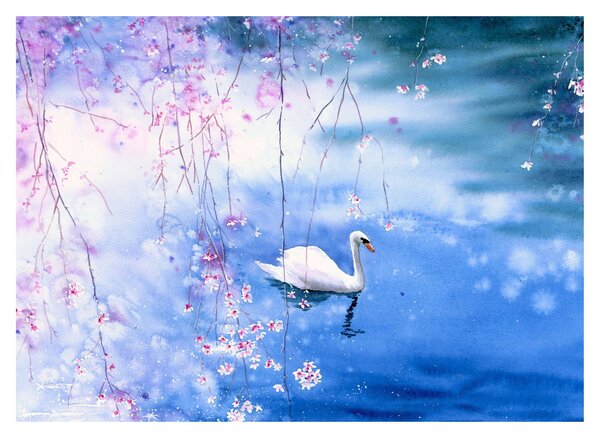 Obraz - Magické jezero (70x50 cm)