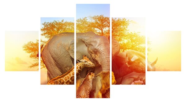 Obraz afrických zvířátek (125x70 cm)