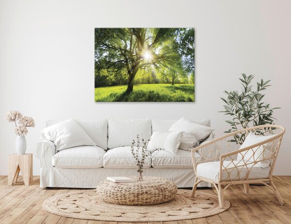 MALBA NA PLÁTNĚ, stromy, 135/100 cm Euroart - Obrazy na plátně