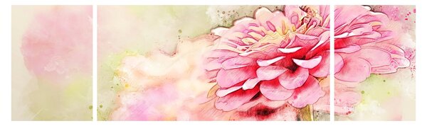 Obraz - Růžová květina, aquarel (170x50 cm)