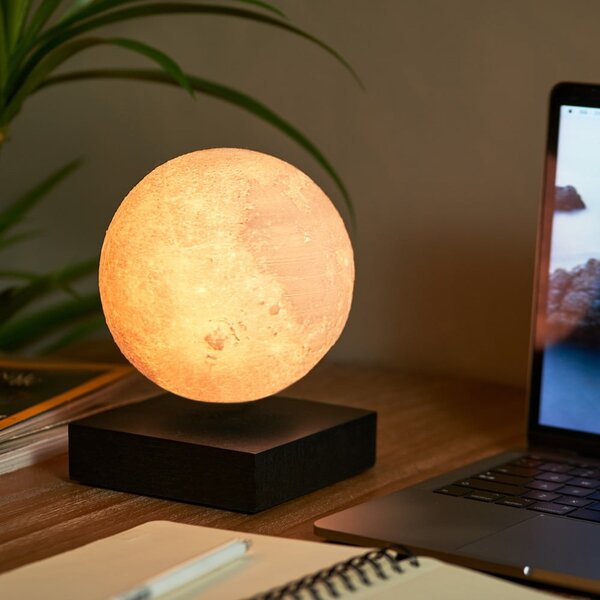 Černá světelná dekorace do zásuvky ø 12 cm Moon – Gingko