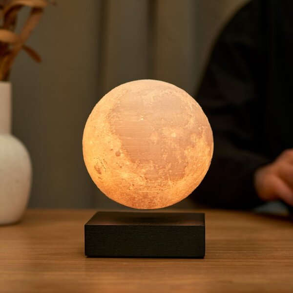 Černá světelná dekorace do zásuvky ø 12 cm Moon – Gingko