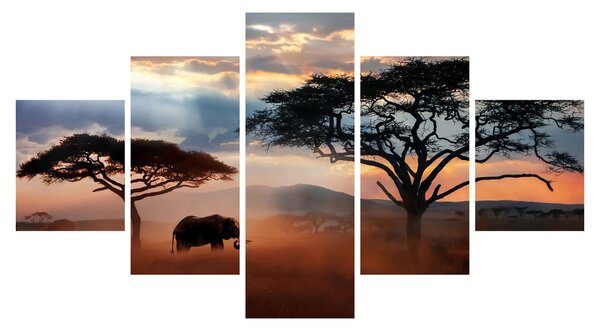 Obraz - Národní park Serengeti, Tanzánie, Afrika (125x70 cm)