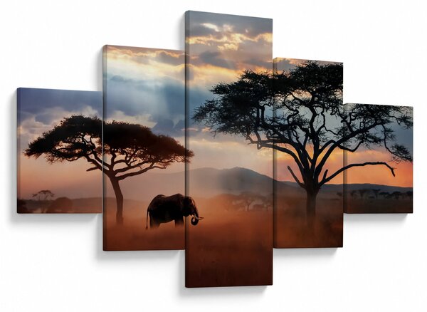 Obraz - Národní park Serengeti, Tanzánie, Afrika (125x70 cm)