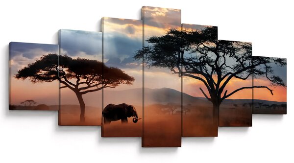 Obraz - Národní park Serengeti, Tanzánie, Afrika (210x100 cm)