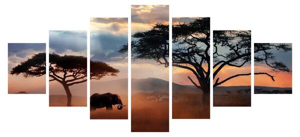 Obraz - Národní park Serengeti, Tanzánie, Afrika (210x100 cm)