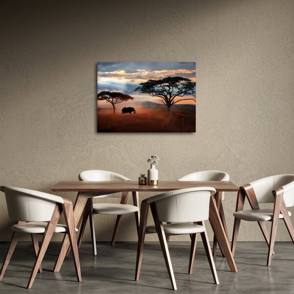 Obraz - Národní park Serengeti, Tanzánie, Afrika (70x50 cm)