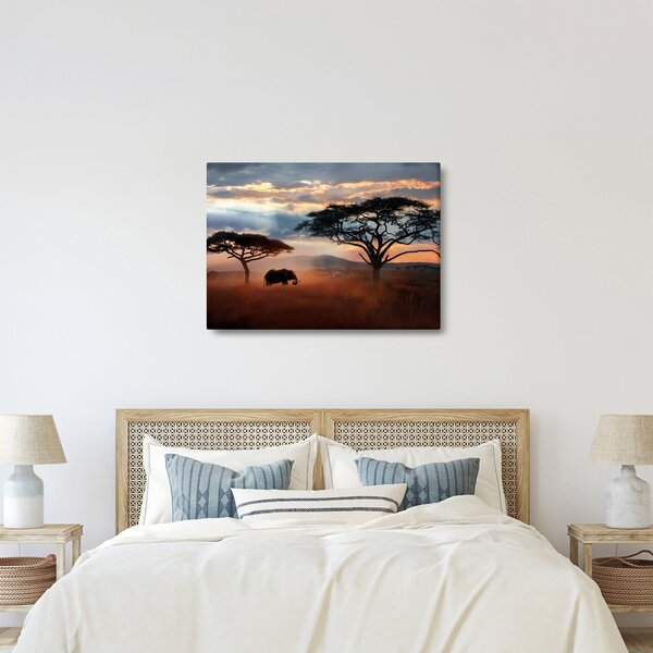 Obraz - Národní park Serengeti, Tanzánie, Afrika (70x50 cm)