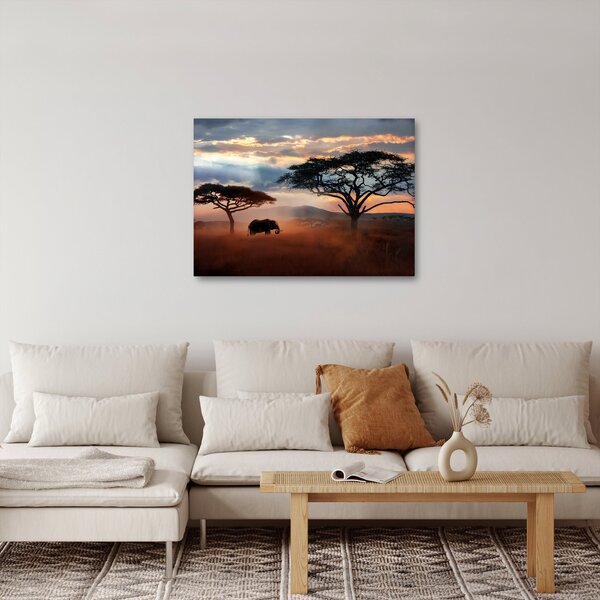 Obraz - Národní park Serengeti, Tanzánie, Afrika (70x50 cm)
