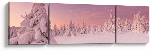 Obraz - Stromy pod sněhovou přikrývkou (170x50 cm)