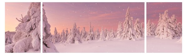 Obraz - Stromy pod sněhovou přikrývkou (170x50 cm)