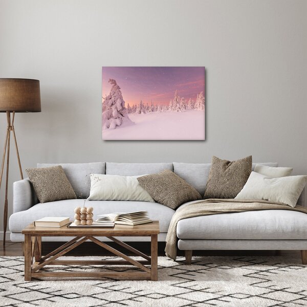 Obraz - Stromy pod sněhovou přikrývkou (70x50 cm)