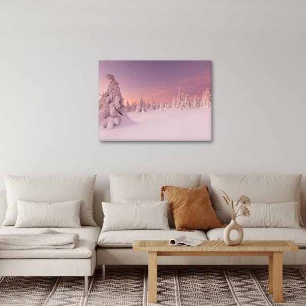 Obraz - Stromy pod sněhovou přikrývkou (70x50 cm)