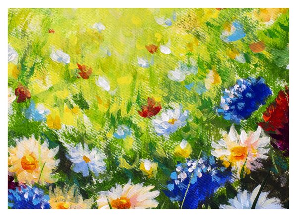 Obraz rozkvetlé louky, olejomalba (70x50 cm)
