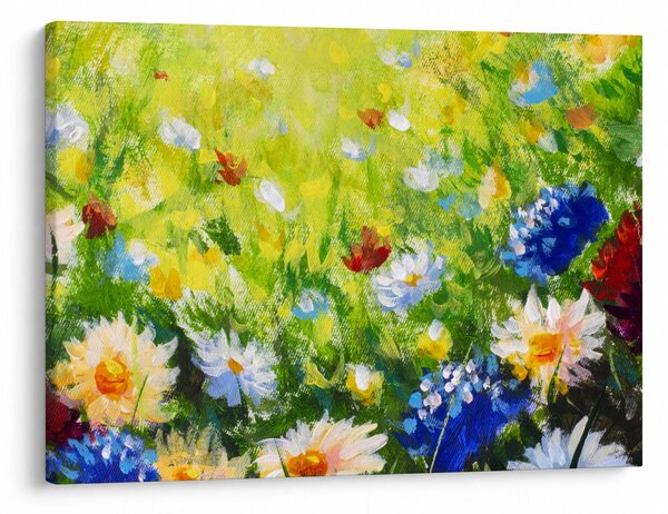 Obraz rozkvetlé louky, olejomalba (70x50 cm)