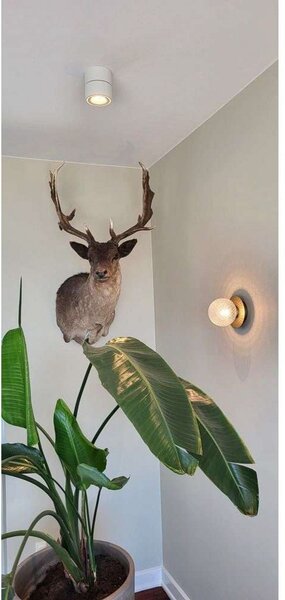 Stropní Lampa ANTIDARK, stmívatelné, Bílá, Obývací pokoj, Hliník