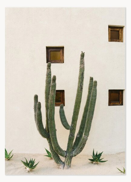 Plakát Cabo Cactus IX