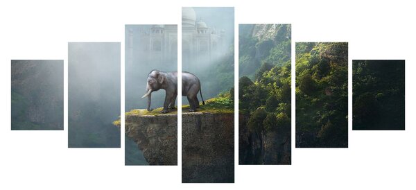 Obraz - Slůně na vrcholku Taj Mahal (210x100 cm)