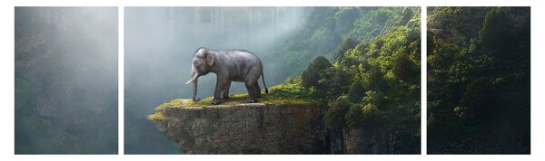 Obraz - Slůně na vrcholku Taj Mahal (170x50 cm)