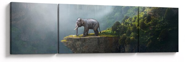Obraz - Slůně na vrcholku Taj Mahal (170x50 cm)
