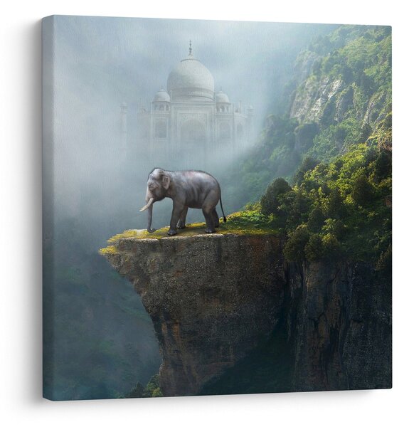 Obraz - Slůně na vrcholku Taj Mahal (30x30 cm)