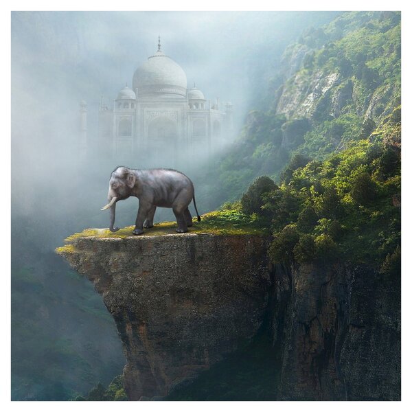 Obraz - Slůně na vrcholku Taj Mahal (30x30 cm)