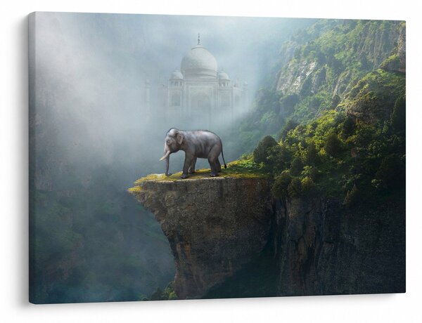 Obraz - Slůně na vrcholku Taj Mahal (70x50 cm)