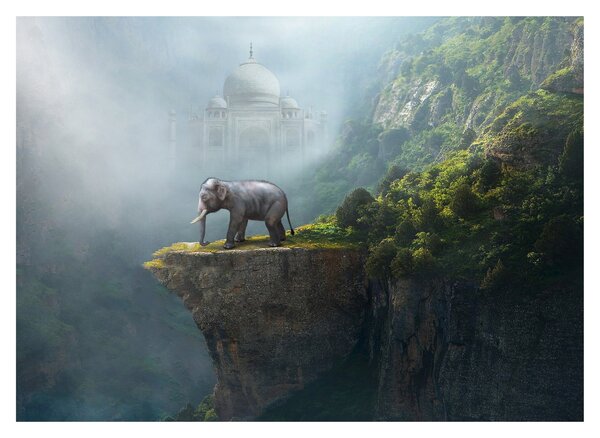 Obraz - Slůně na vrcholku Taj Mahal (70x50 cm)