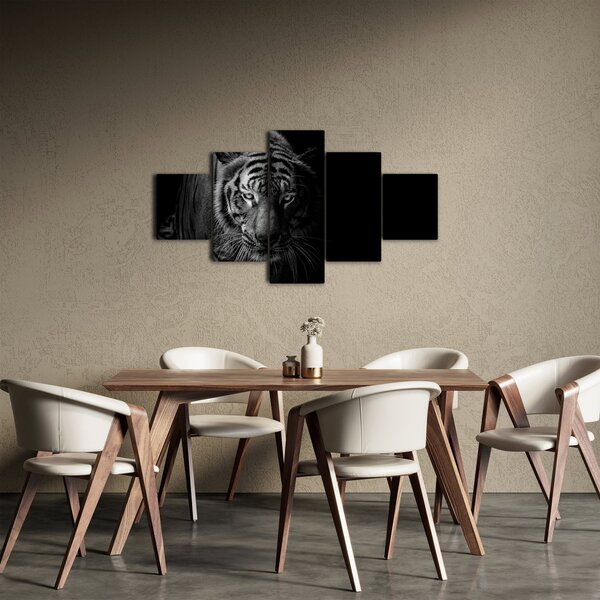 Obraz divokého tygra (125x70 cm)