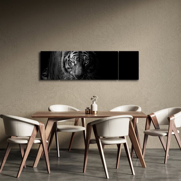 Obraz divokého tygra (170x50 cm)