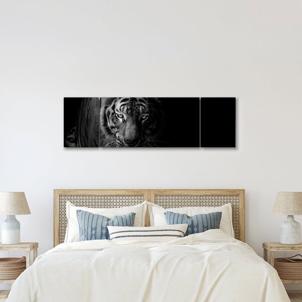 Obraz divokého tygra (170x50 cm)