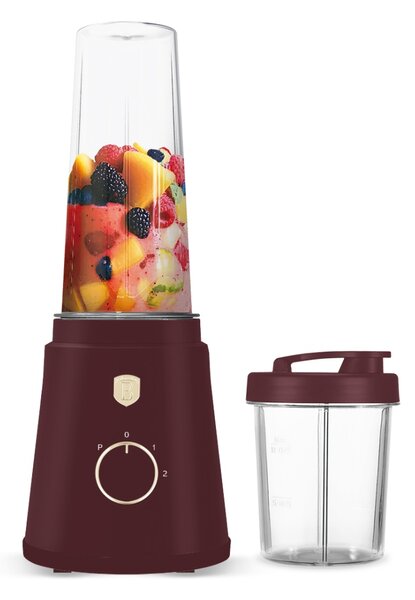 Mixér smoothie maker s lahví Leonardo Collection