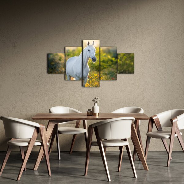 Obraz bílého koně na louce (125x70 cm)